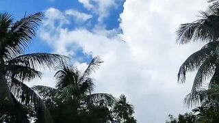 নীল আকাশ গাছের পাতা নড়ছে বাতাসে
