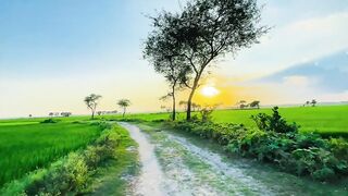 The awesome beauty of nature ????????????