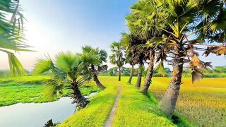 Terrifying beauty view natural beauty nature ????????