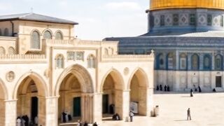 Green Parrots and the Holy Dome: An Eternal Love Story