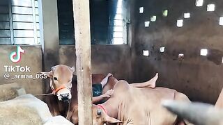 কতো সুন্দর মুহুর্ত তাই না
