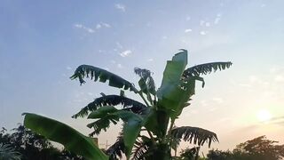 আসেন এক সাথে হয় fedspot এই সাইটে কাজ করি।