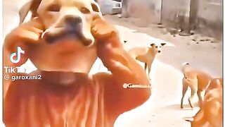 Comedy videos 14