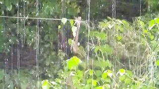 রাতে বৃষ্টির সুন্দর একটা মোমেন্ট