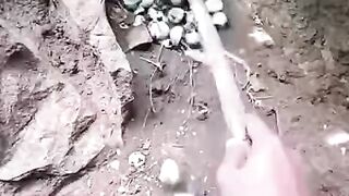ওটা কি ছিলো কেই ভয় পাবেন না কিন্তু
