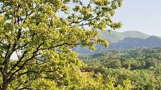 Beautiful nature 309