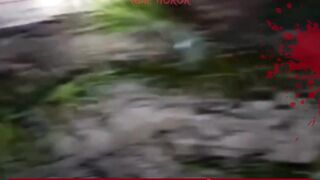 Niat Kerja Shift Malam di Kebun Sawit, Malah Disambut Sosok Berbaju Putih! ????