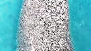 Bangladesh all tourist place in one video
