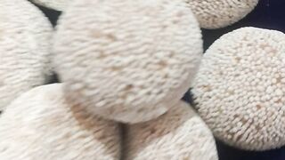 রসকদম