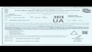 Sarrainodu Hindi movie
