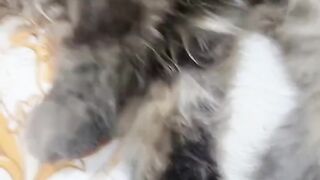Cute helen