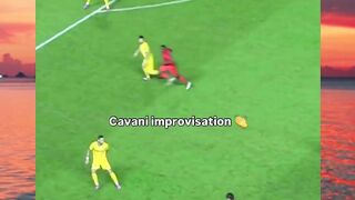 Cavani Improve