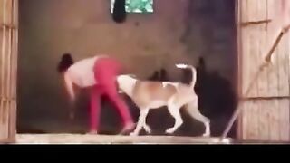 Very funny video 78