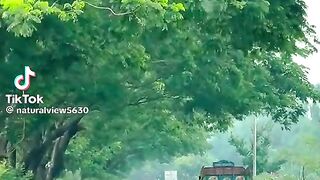 TASTUS VIDEO
