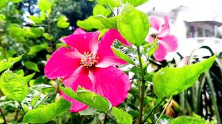 আসেন এক সাথে হয় fedspot এই সাইটে কাজ করি। 3