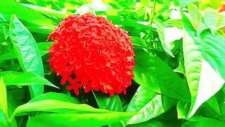 আসেন এক সাথে হয় fedspot এই সাইটে কাজ করি। 4