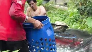 Kenapa gak dari dulu pake ini pasti sortir lele cepat selesai