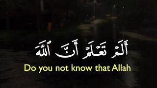Tilawat e Quran Majeed 75