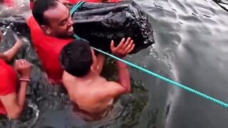 গাছের গুড়ি না বাবা