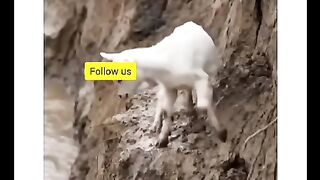 Never lose faith