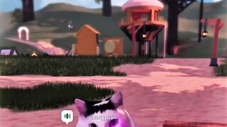 Cat roblox