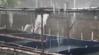 Dimusim HUJAN Stok lele MENURUN Kebutuhan lele MENINGKAT❗Berikut penjelasannya