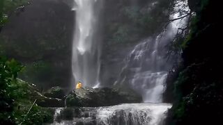 somewhere in Bandarban ????