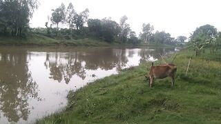 River site 2
