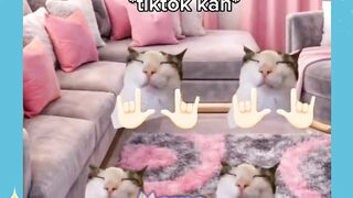 yang penting jangan tidur duluan ????