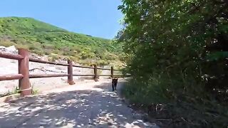 The Hell Guide Cat