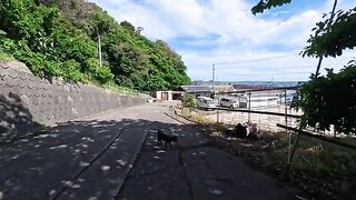 I sat down at a free outdoor cafe halfway up a hill on Cat Island, and the moment I did...