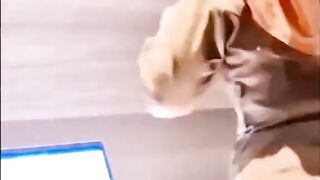 Viral 6 Menit Tanpa Sensor! Publik Mulai Bongkar Kejanggalan Video Guru Bahasa Inggris