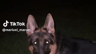 Vairal video 17