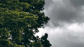 প্রকৃতিক সৌন্দর্য |  #viral