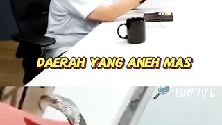 Daerah di Indonesia punya ular khusus #podcast #radityadika #comicradityadika