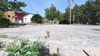 That unexpected invitation was just too cute.