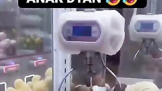 ???????????????? 271