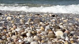 Your daily dose of vitamin SEA
