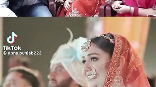 Shadi 6