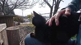 Sitting at a table on a cat island... a cat jumped onto my lap - such a blissful moment!