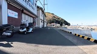 The cat at the island's fishing port was so cute!