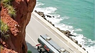 Golden Retrievers Stop Tanker – Sea Surge Hits the Road #dog #goldenretriever #rescue