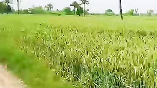 peaceful village Natural beauty