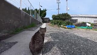 I saw it next to the park today, so I petted it.