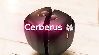 ????Cerberus???? _transformation _transformers _mechanical _mechanic _toys _mechanicaltoy