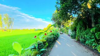 Nature scine beautiful 2