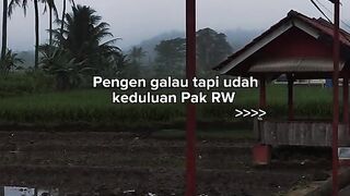 Story harian 25