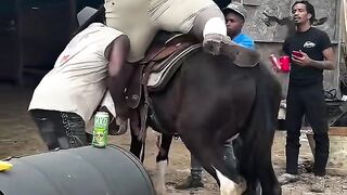 fat boy and horse fun