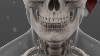 30 Days Without Fast Food – The Bone Man’s Animated Transformation