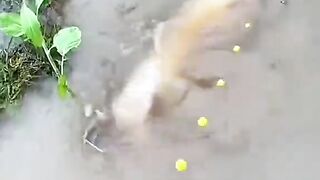 Funny ???????????????? 20